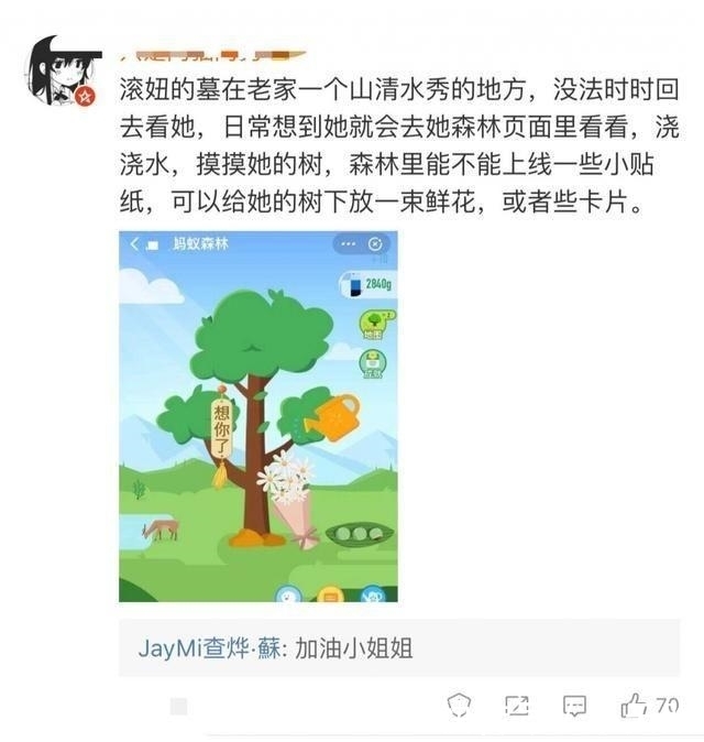 蚂蚁森林浇水一次最多