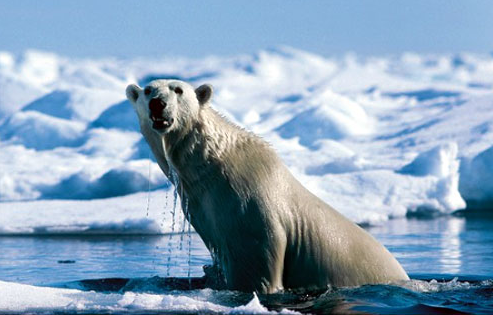 北冰洋是怎样变咸的?