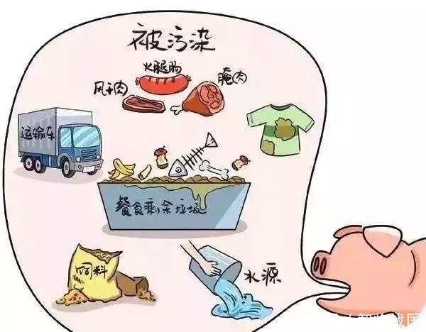 非洲非洲猪瘟疫情现状