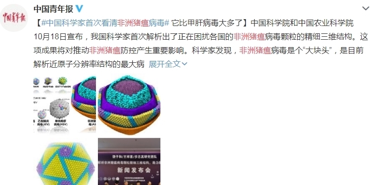 武汉出现了什么病毒