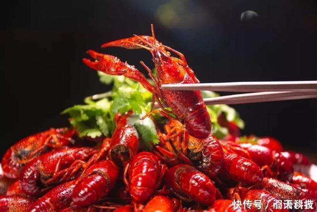 过量食用小龙虾,会感染肺吸虫病?科学家揭示真相