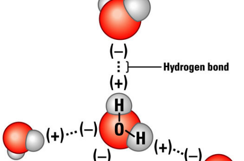分子内氢键的形成条件