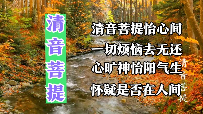 [图]【古筝—清音菩提】静心宁神 洗涤心灵 清音不杂 感受天籁之音