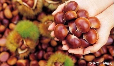 太阳有人没有人