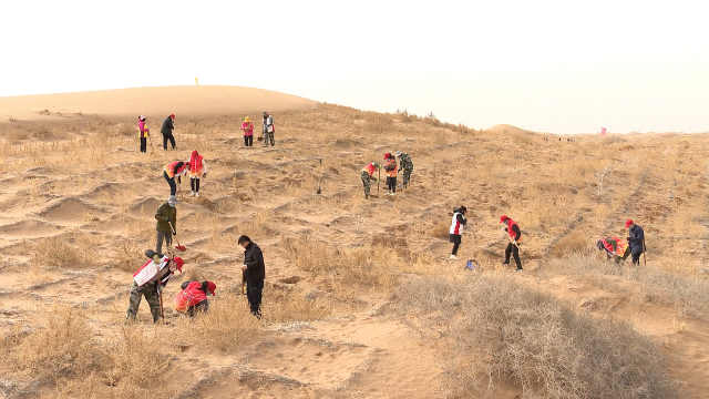 360影视-影视搜索