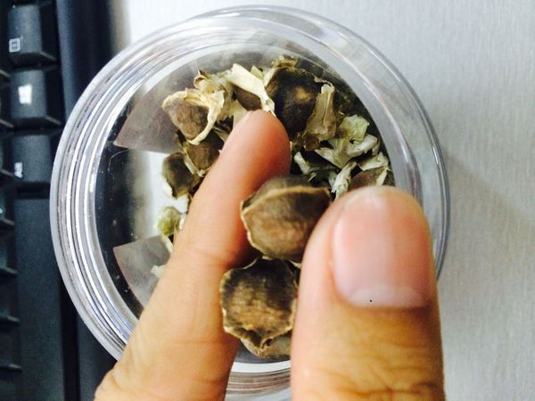 古树普洱茶的魅力与未来