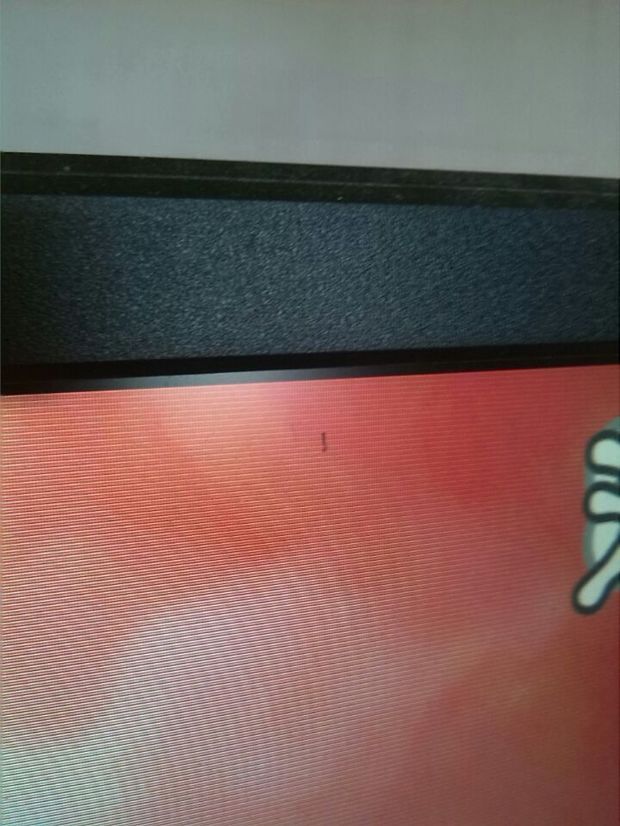 电脑屏幕上有黑色小虫子靠伸缩移动是什么?
