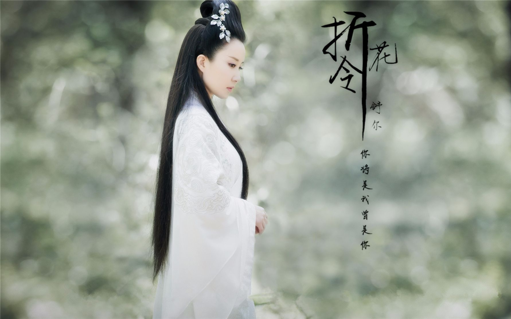 【舒畅】折花令·舒尔