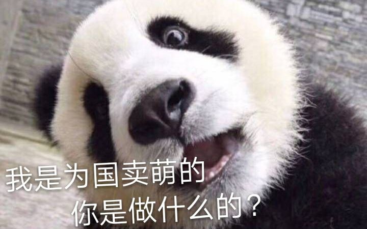 【大熊猫伟伟】本宝宝生气了,哄不好了╭(╯^╰)╮