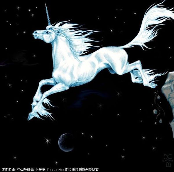 1,独角兽:白马头上画一只角