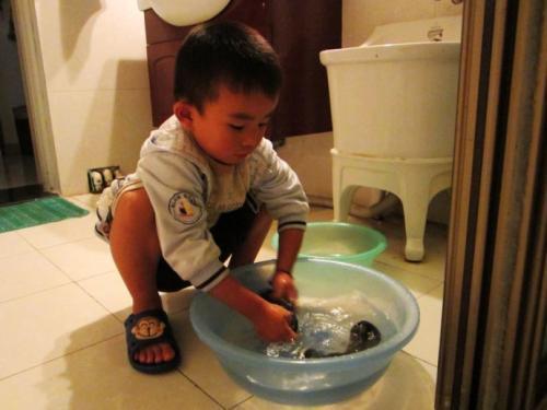 一年级看图写话一个小男孩在洗袜子怎么写