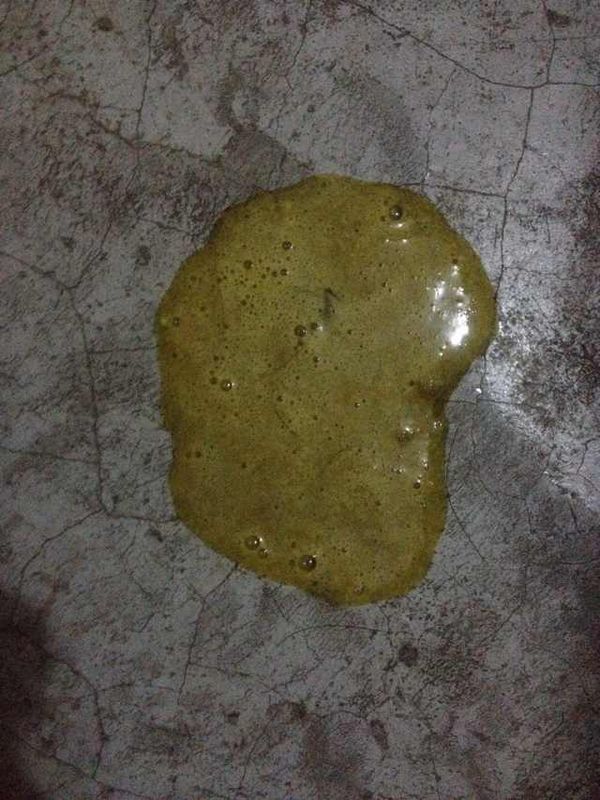 泰迪狗呕吐黄绿色带白色泡沫粘液,精神好,不拉