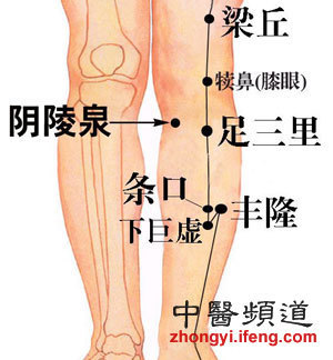 小腿内侧疼痛部位图解图片