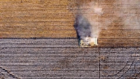 [图]反击对新疆棉花的抹黑,中国八点破解之道!