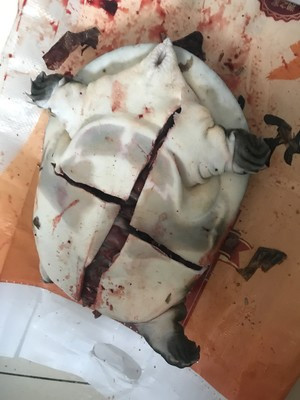 祛除内脏,这是雌的甲鱼,有很多甲鱼蛋,罪过啊.