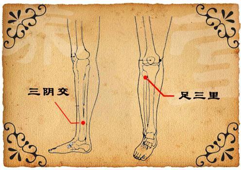 如何准确找到足三里的位置