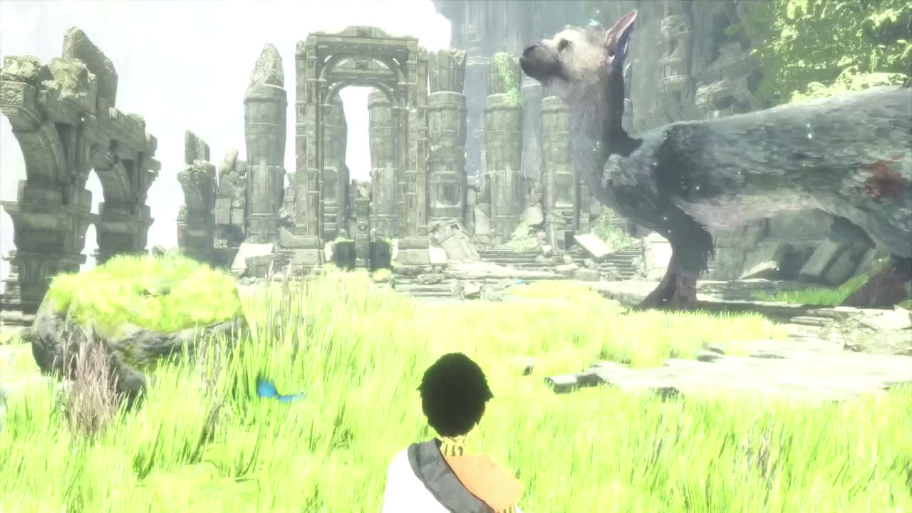 [图]买前须知 最后的守护者The Last Guardian - Before You Buy