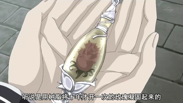 求吸血鬼骑士第二季里那个玫瑰饰品