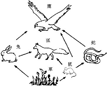 6月5日是世界环境日,今年我国的世界环境日主题是"