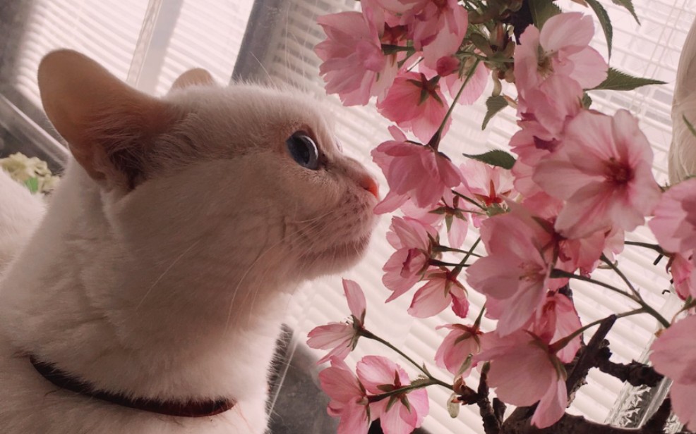 360影视 影视搜索