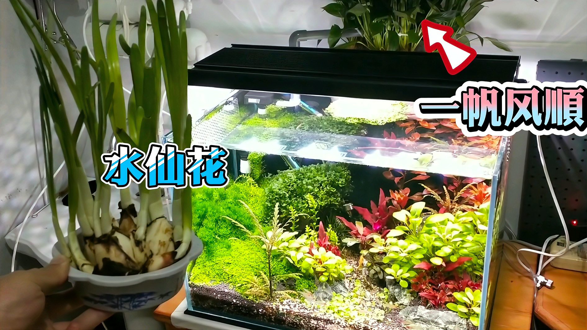 360影视 影视搜索 360影视 影视搜索
