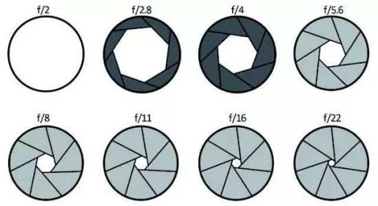 你说的会不会是光圈,照相机里的结构