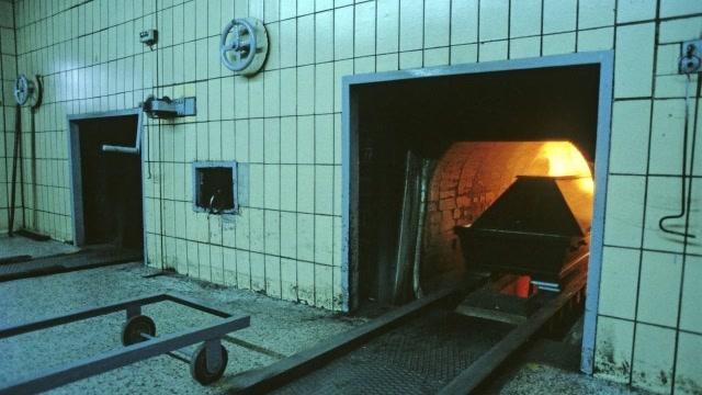 听听科学家的解释!