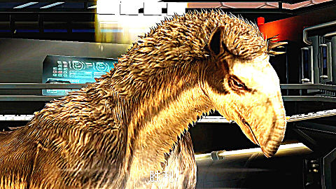 小鸢解说 1512满级额尔登巨犀,在中国发现了他的化石 侏罗纪世界