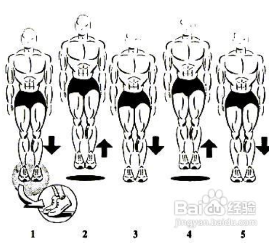 怎么锻炼大腿肌肉? 主要用来提高弹跳力。