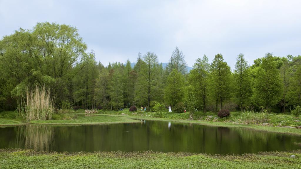 美丽的南京中山植物园[图3]