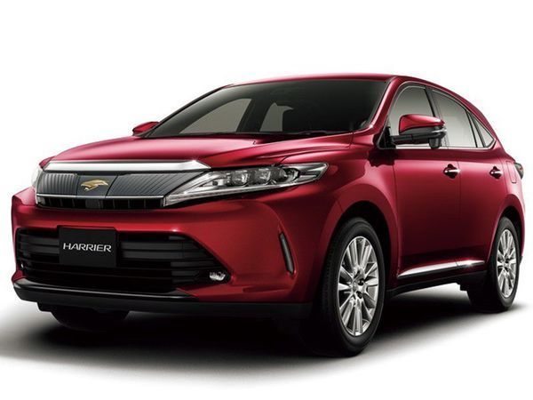 车标是只金鸟是什么车