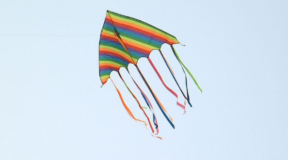 软翅风筝的图片图片