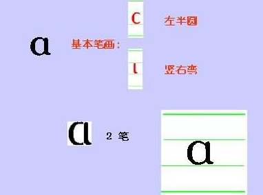 到底是竖还是竖右弯汉语拼音a的正确笔