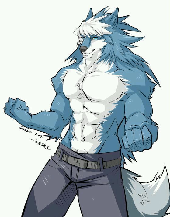 求更多这种类型的图