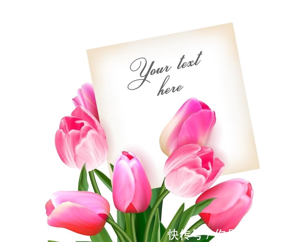 不念过往不畏将来下一句