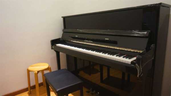 扩展资料: 世界著名钢琴大师拉扎尔·贝尔曼先生两次来广州,执意选用