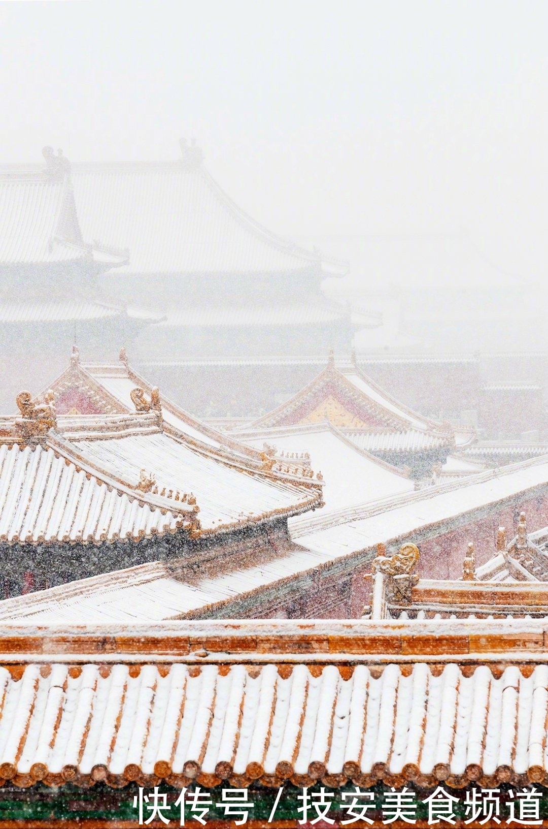 上新了故宫文创产品旅行箱