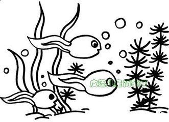 蝌蚪怎么画 图像