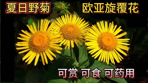360影视 影视搜索 360影视 影视搜索