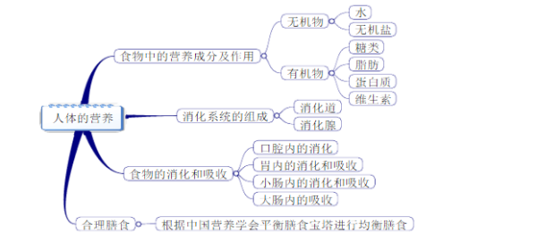 营养器官根的思维导图图片