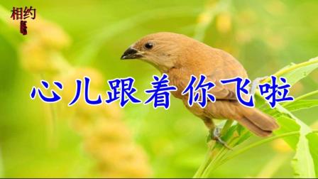 一曲《心儿跟着你飞啦》, 想你, 想你, 真的好想你!