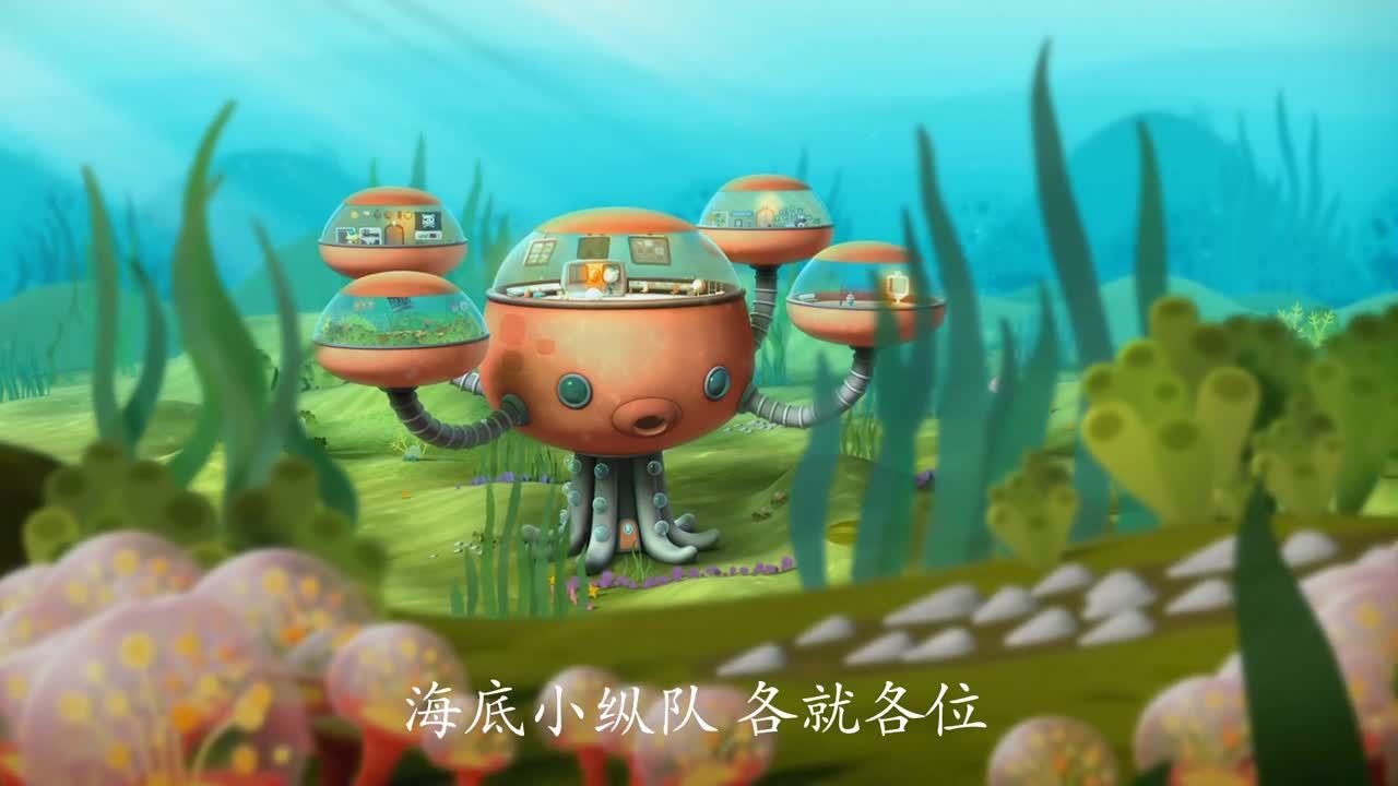 海底小纵队 第四季