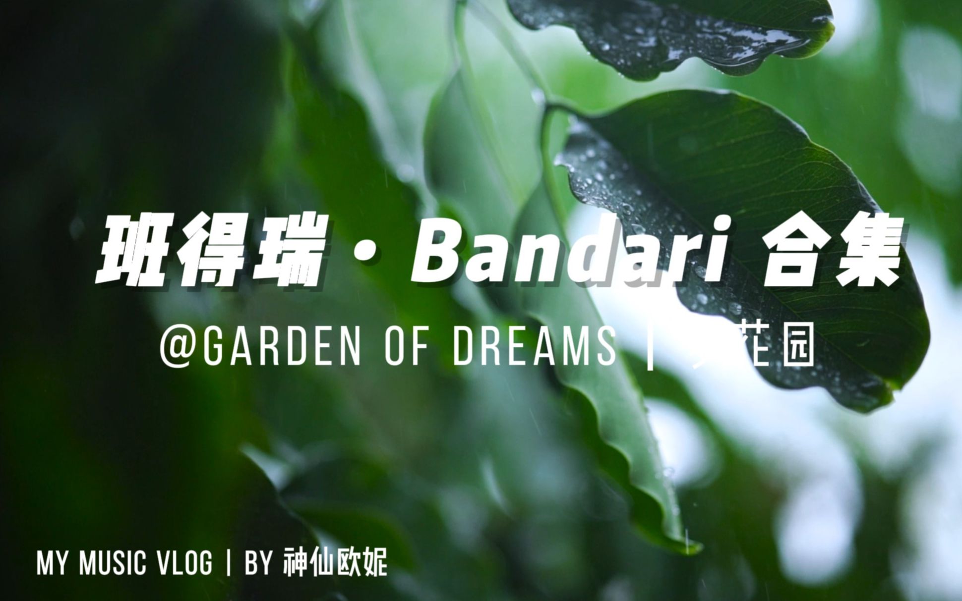 [图]班得瑞Bandari 音乐合集 Garden of Dreams-梦花园