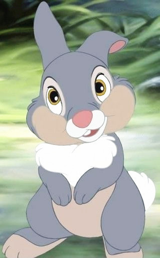 追问 :  简直赞到不行  追答 :  好像是 动画 小鹿斑比 里面的小兔纸