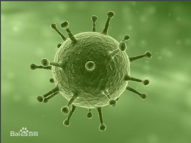 细菌 真菌 病毒的营养方式