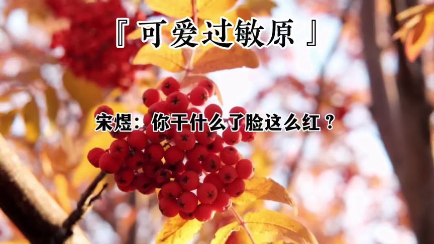 [图]#广播剧 #可爱过敏原 喜欢才会想靠近想触碰啊乐乐