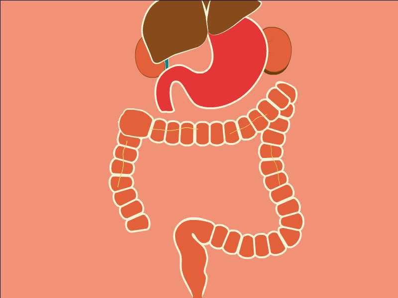 蛔虫为什么会跑到人的肚子里?