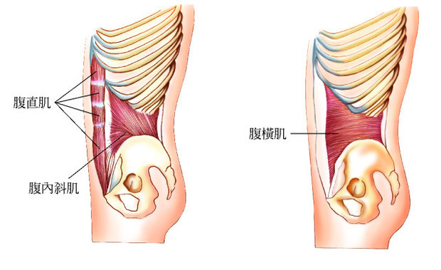 胸腰筋膜松解图片