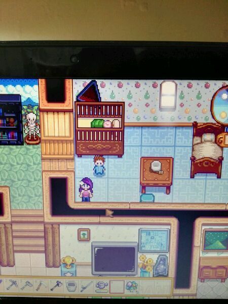 《星露谷物语》生孩子条件及攻略要点 怎么生孩子