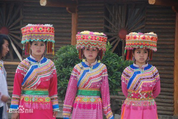 兰坪县傈僳族占全县人口的百分之多少,或傈僳族人口有多少